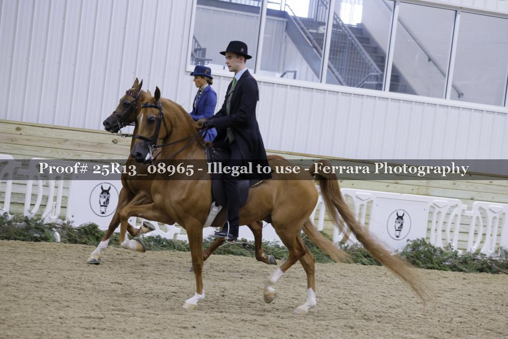 Proof 25R13_08965