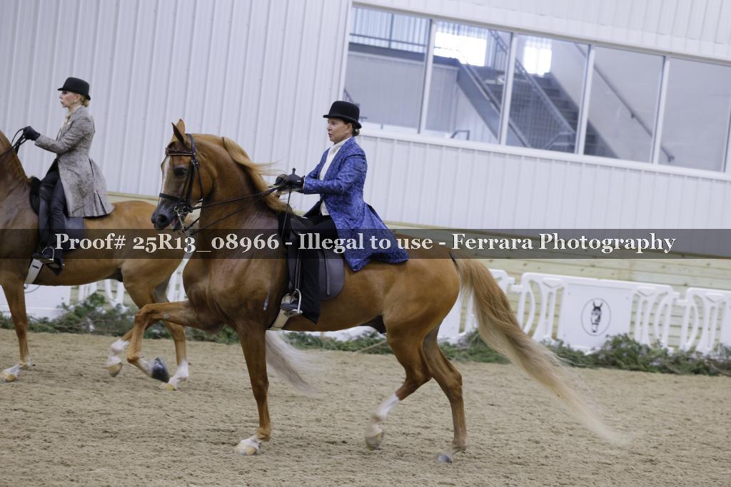 Proof 25R13_08966