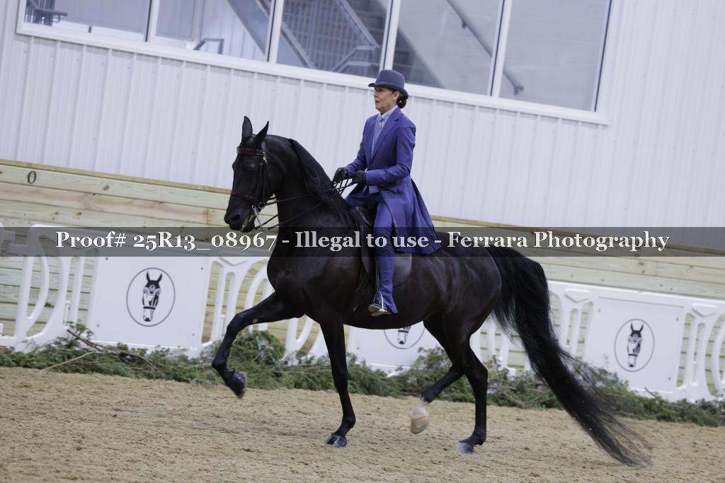 Proof 25R13_08967