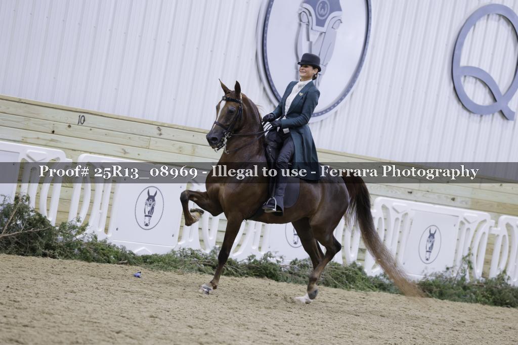 Proof 25R13_08969