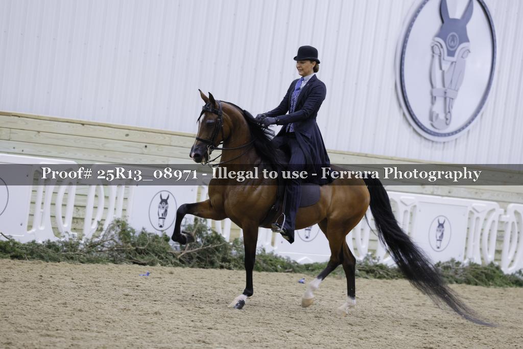 Proof 25R13_08971