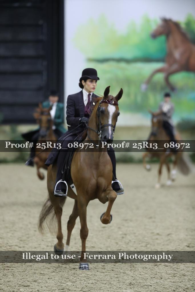 Proof 25R13_08972