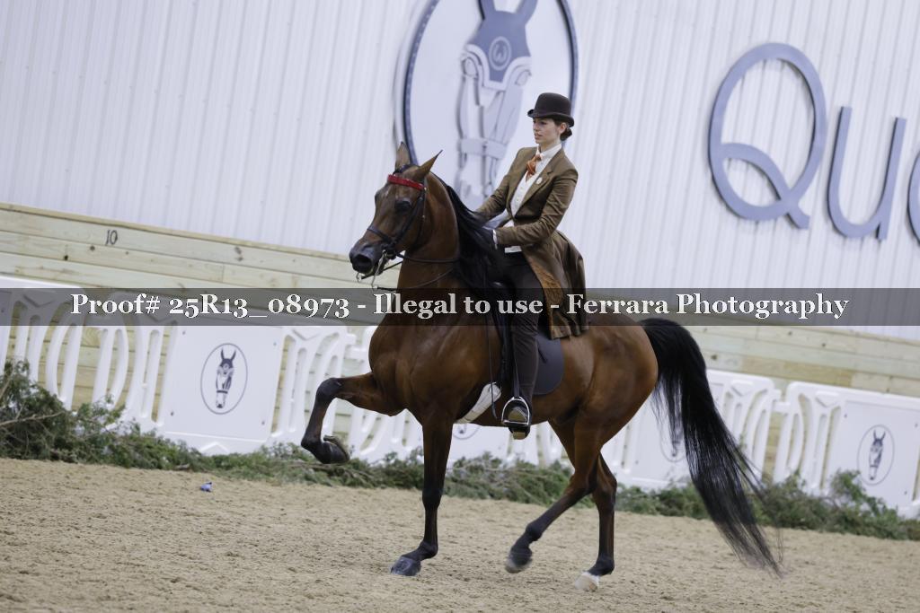 Proof 25R13_08973