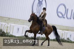 25R13_08973 proof