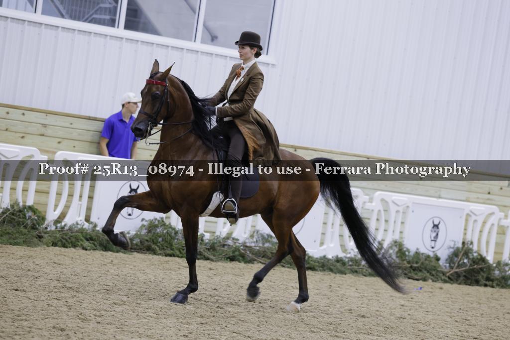 Proof 25R13_08974