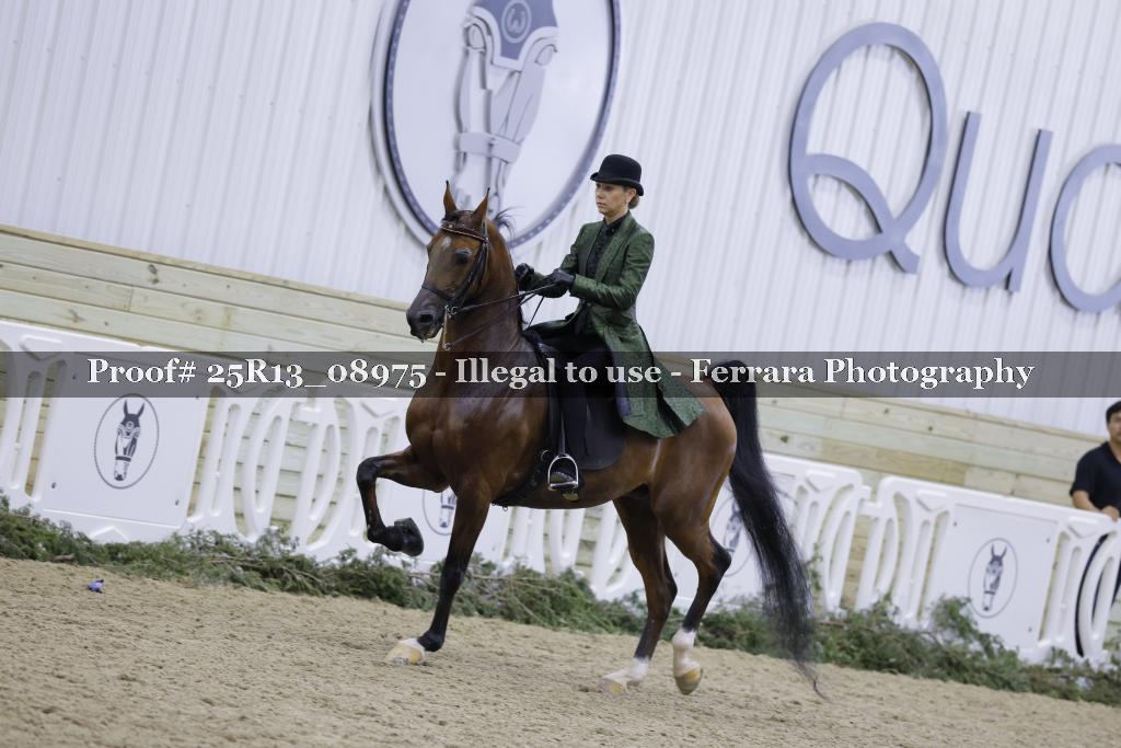 Proof 25R13_08975
