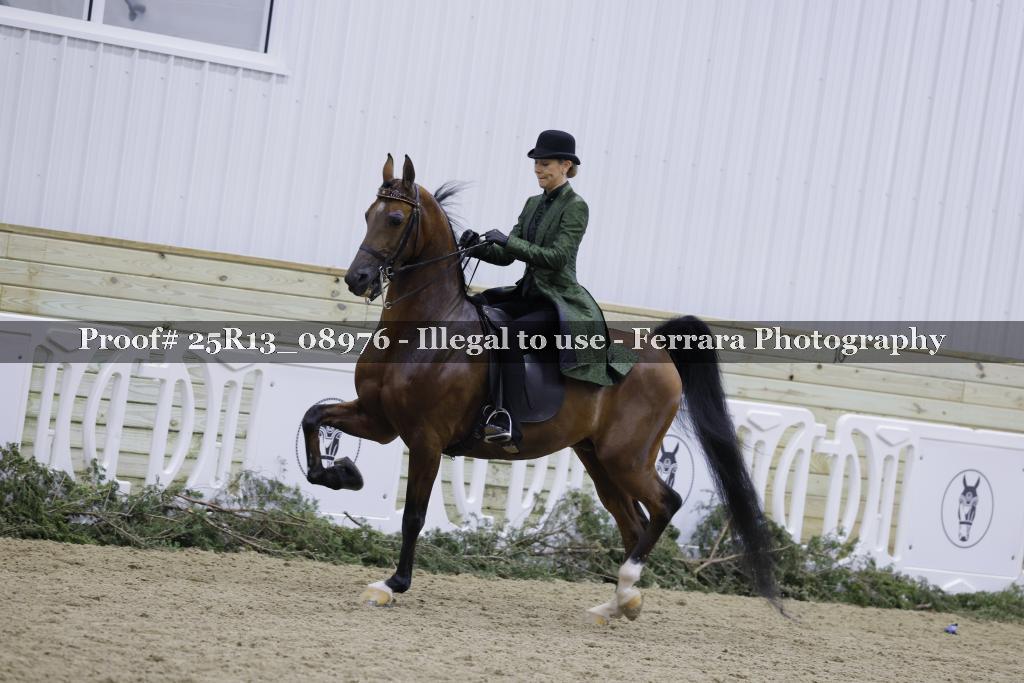 Proof 25R13_08976