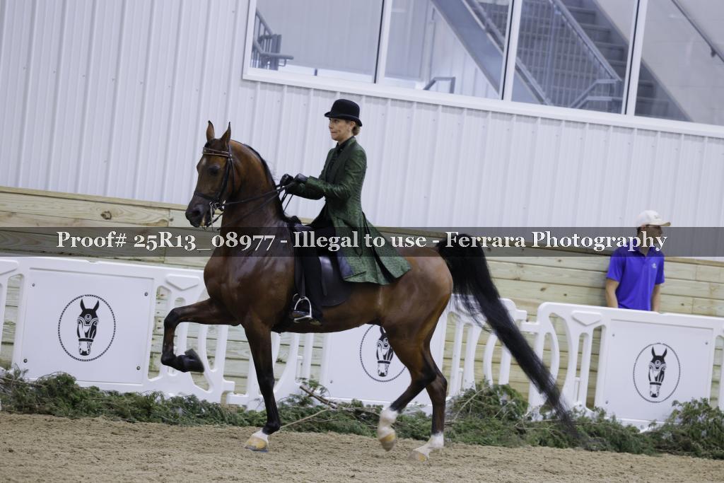 Proof 25R13_08977