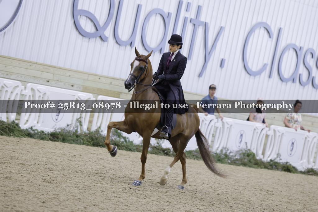 Proof 25R13_08978