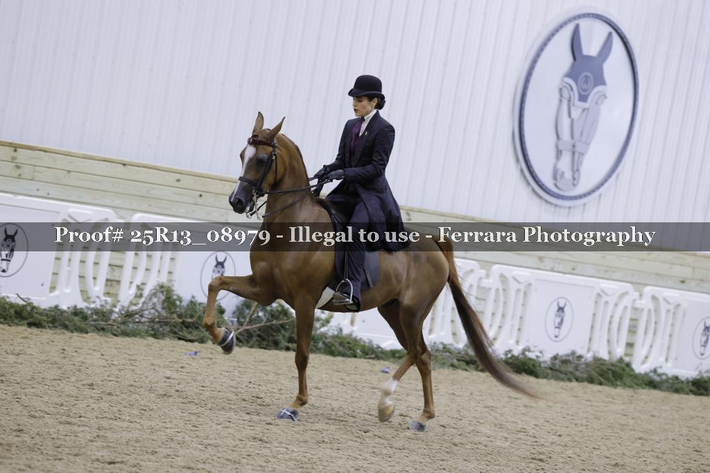 Proof 25R13_08979