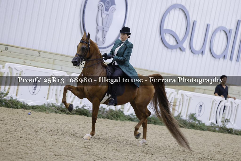 Proof 25R13_08980