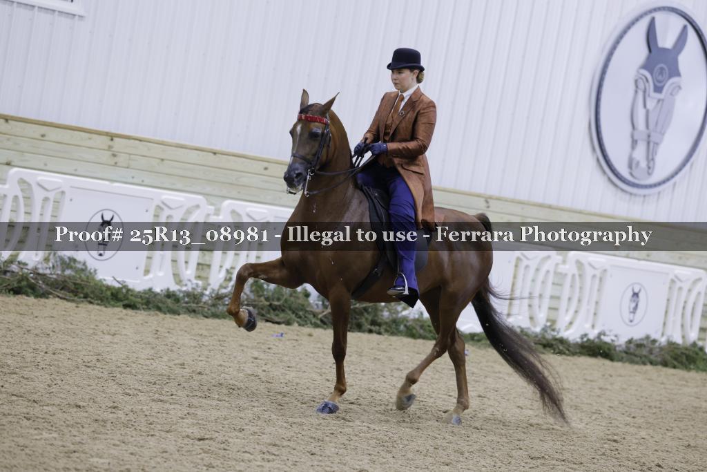 Proof 25R13_08981