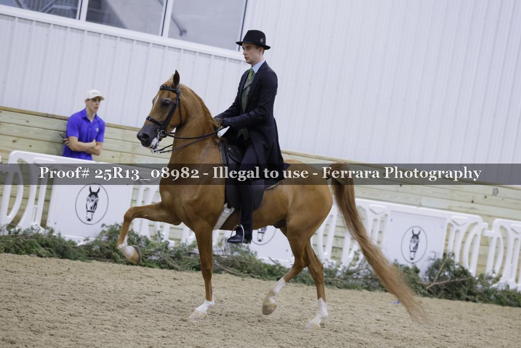 Proof 25R13_08982