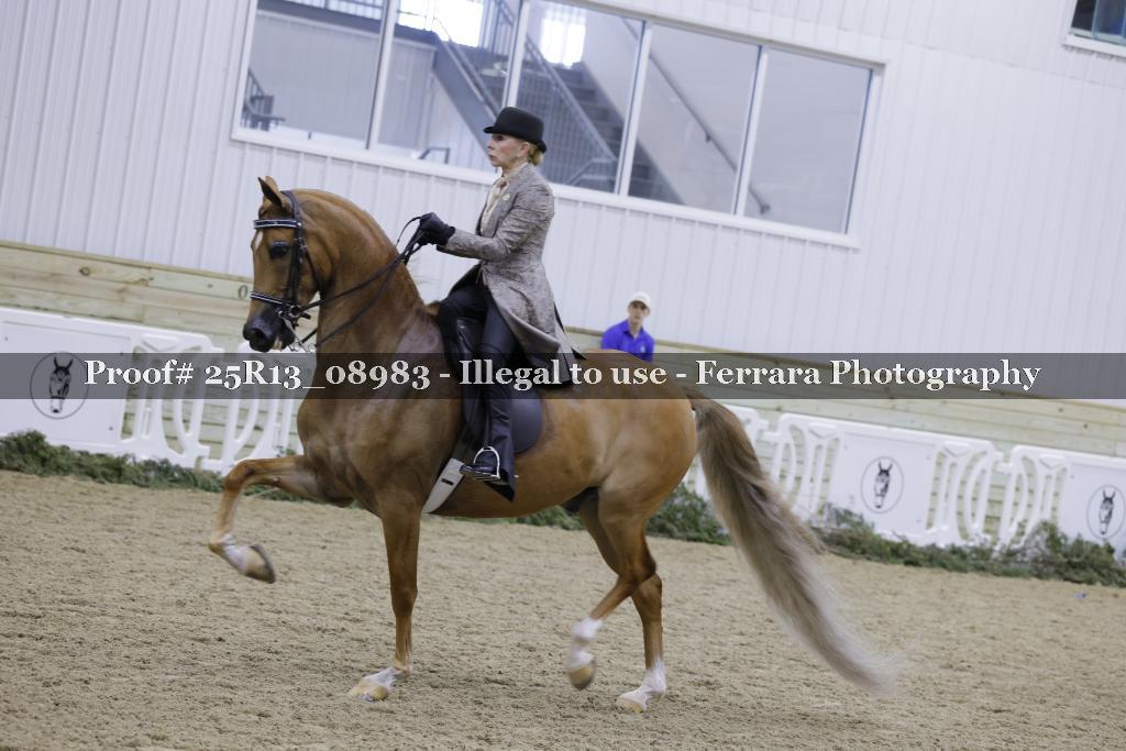 Proof 25R13_08983