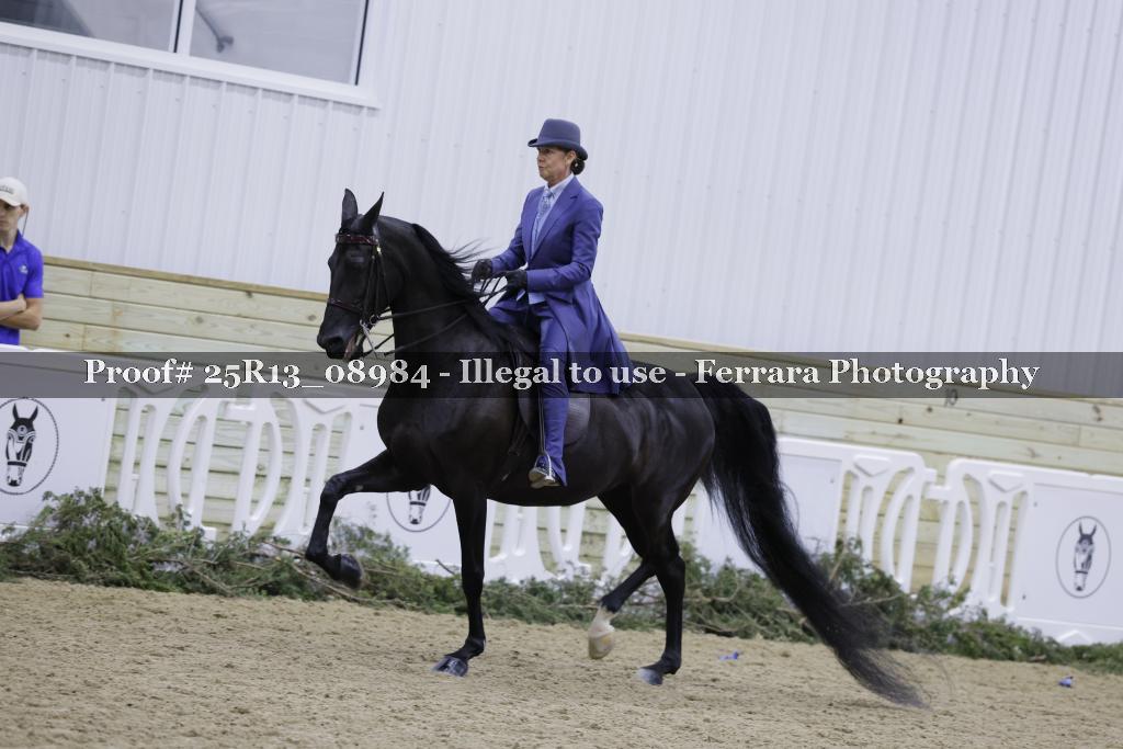 Proof 25R13_08984