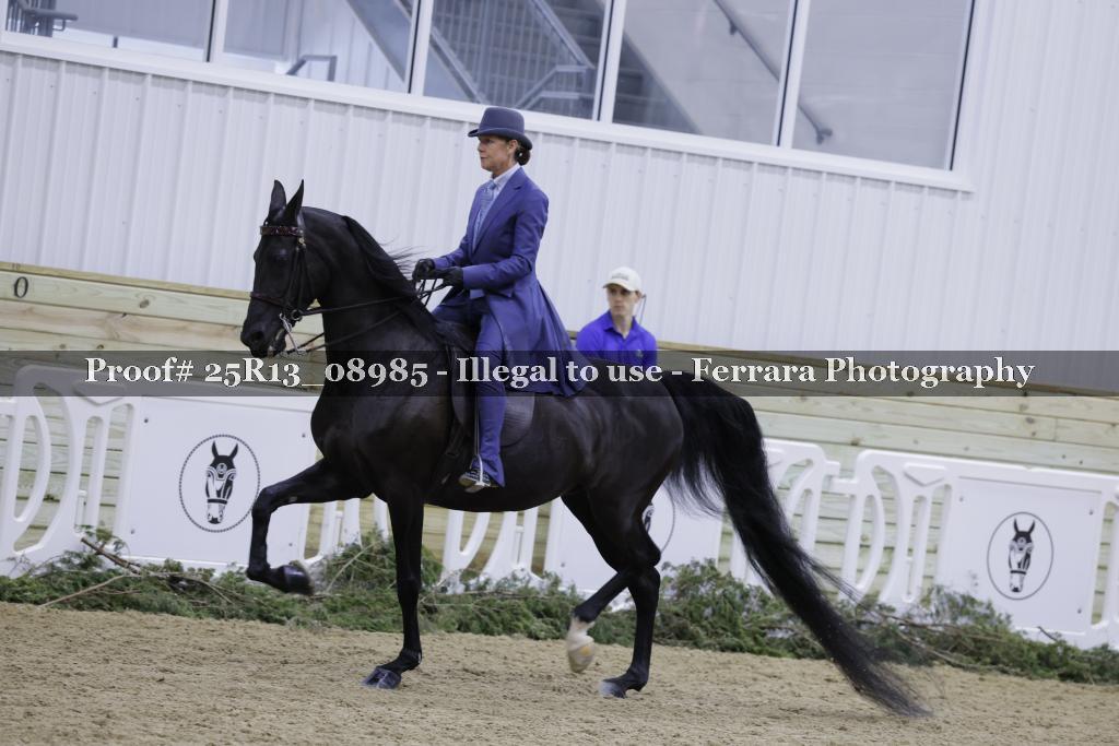 Proof 25R13_08985