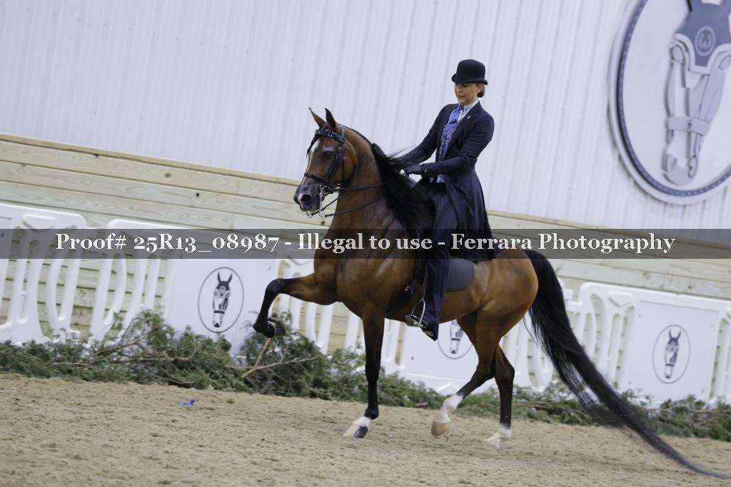 Proof 25R13_08987