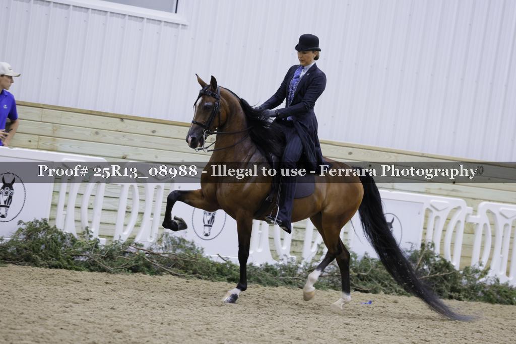 Proof 25R13_08988