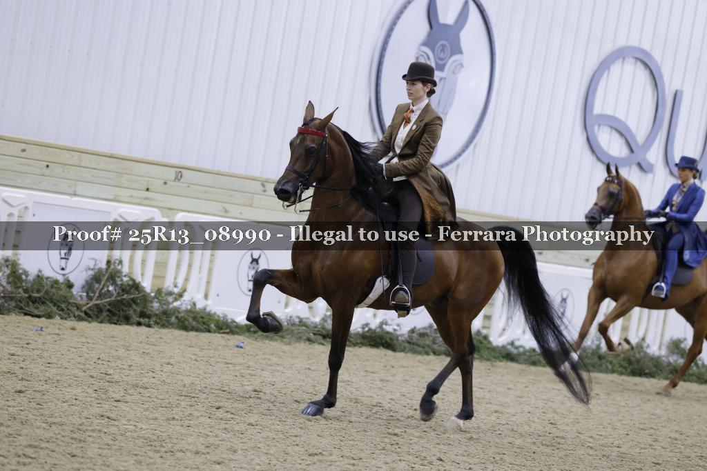 Proof 25R13_08990