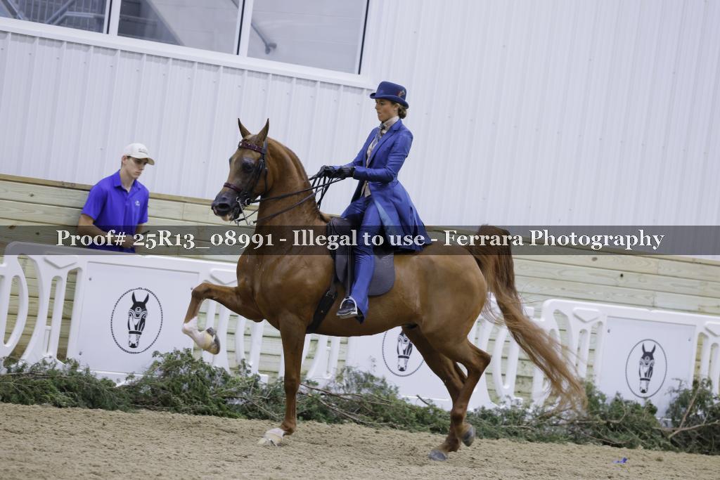Proof 25R13_08991