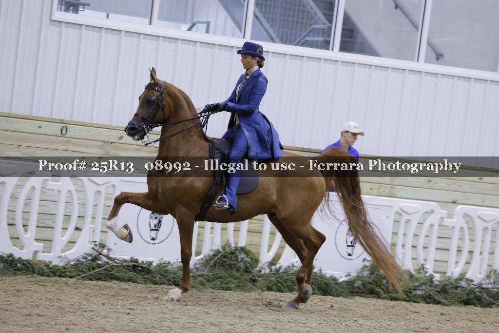 Proof 25R13_08992