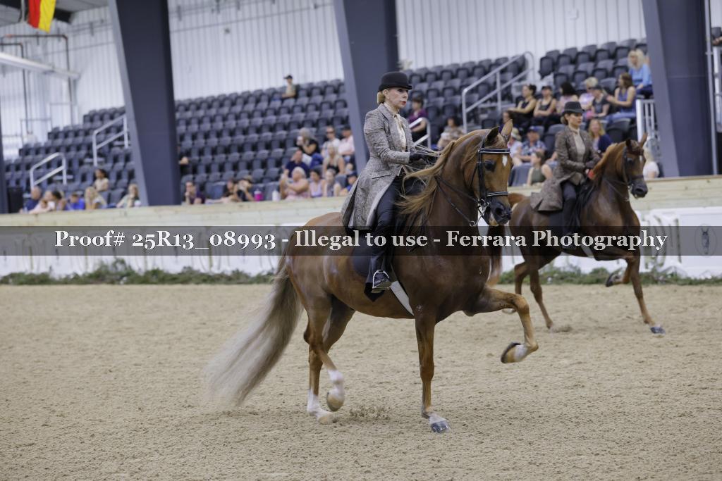 Proof 25R13_08993