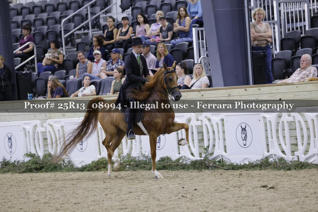 Proof 25R13_08994