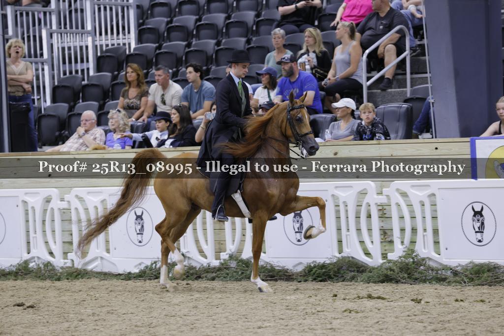 Proof 25R13_08995