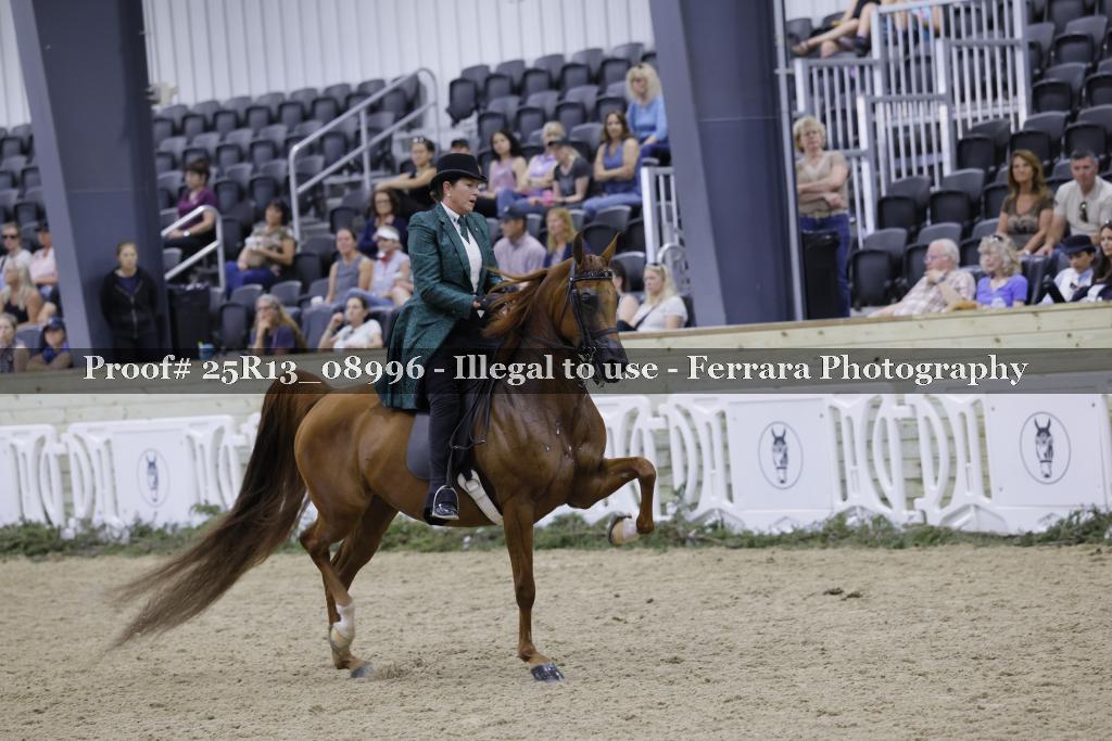 Proof 25R13_08996