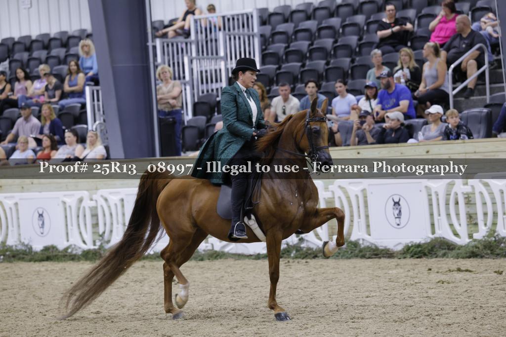 Proof 25R13_08997
