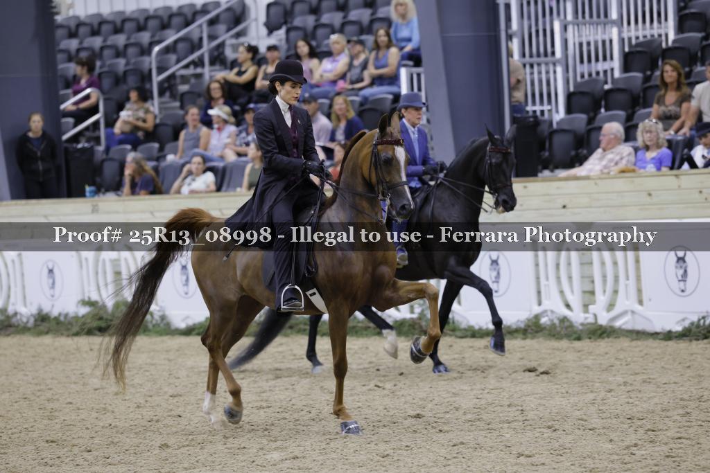 Proof 25R13_08998