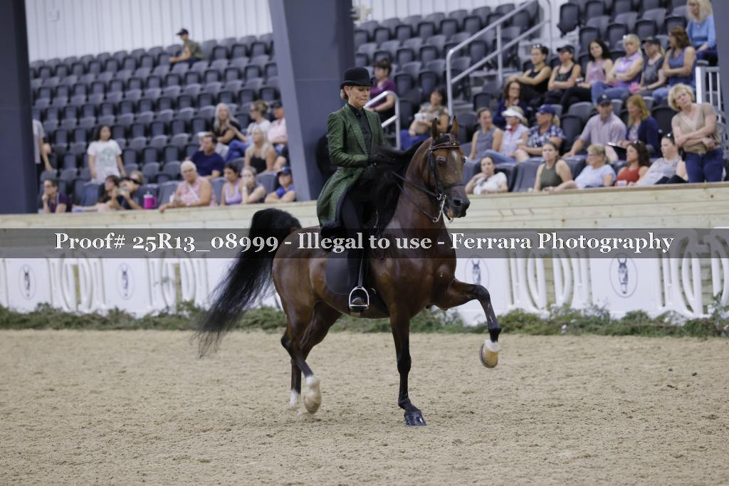 Proof 25R13_08999