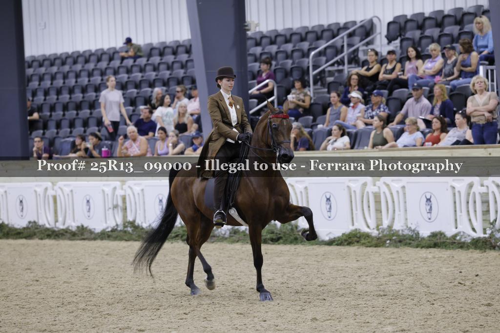 Proof 25R13_09000