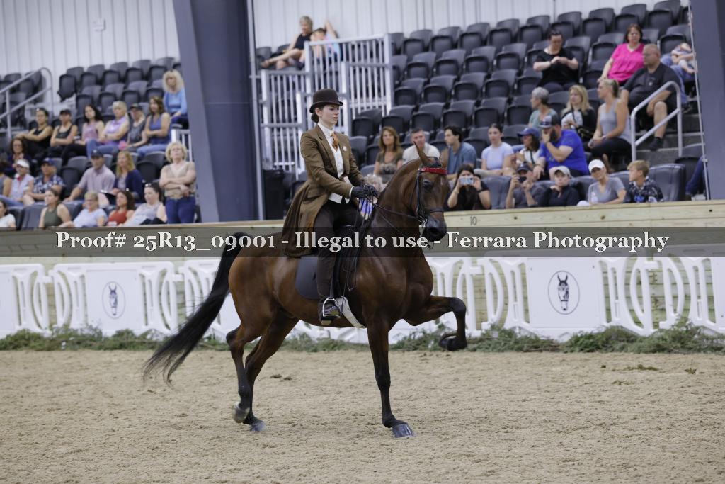 Proof 25R13_09001