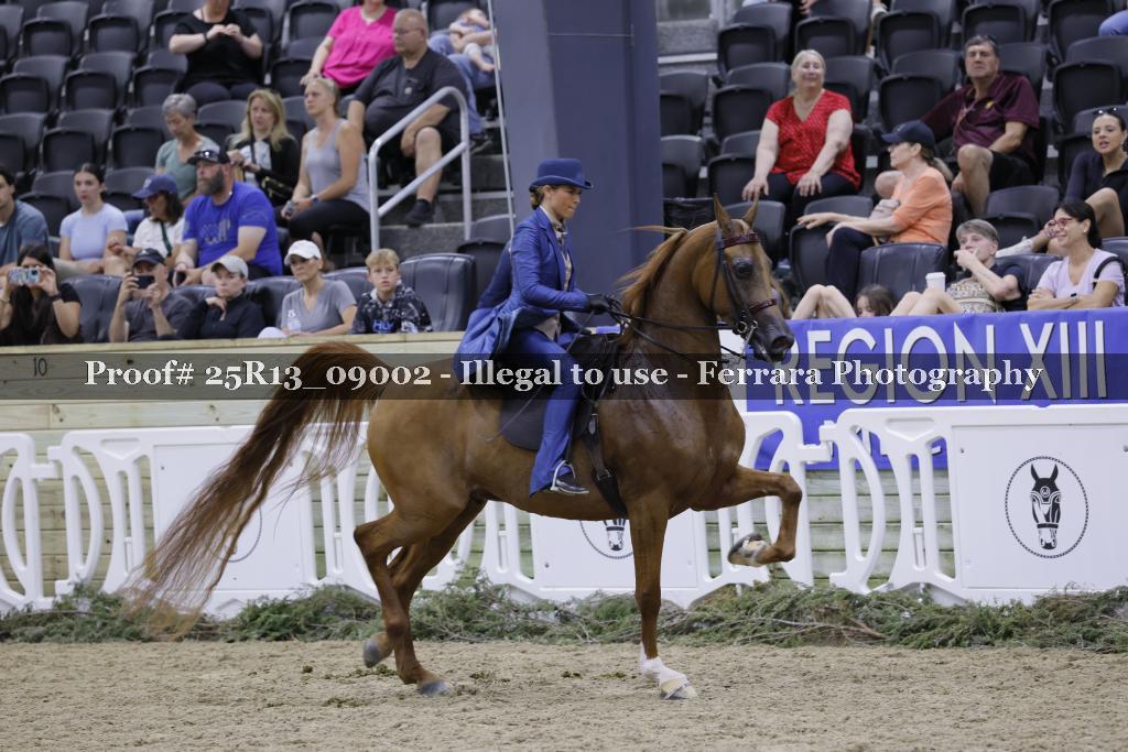 Proof 25R13_09002