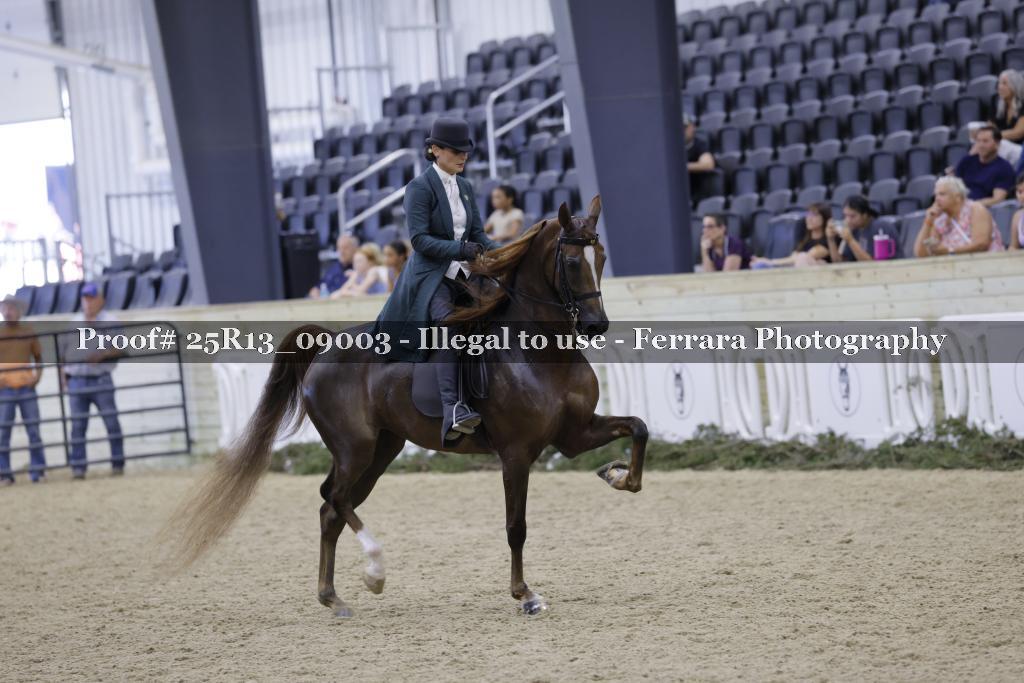 Proof 25R13_09003