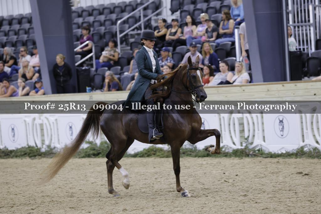 Proof 25R13_09004