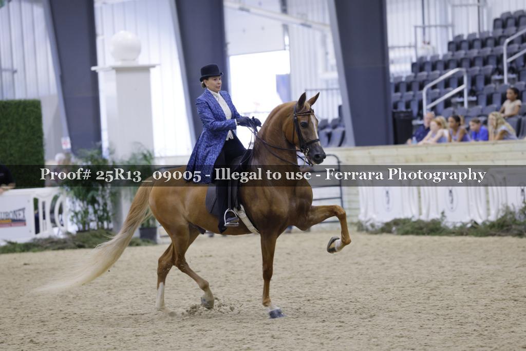 Proof 25R13_09005