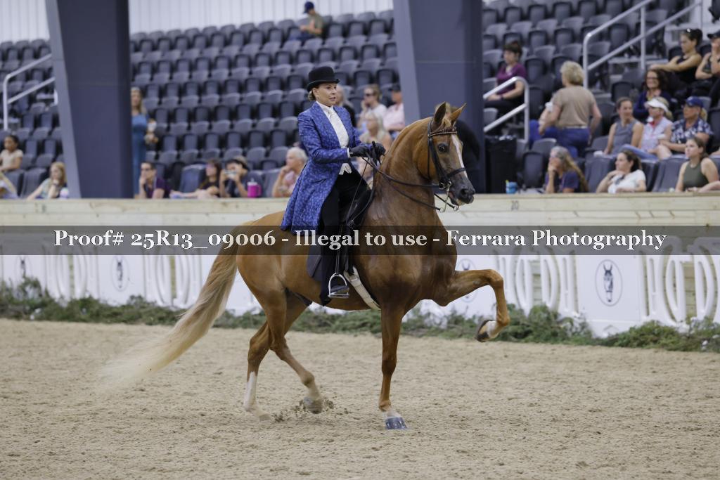 Proof 25R13_09006