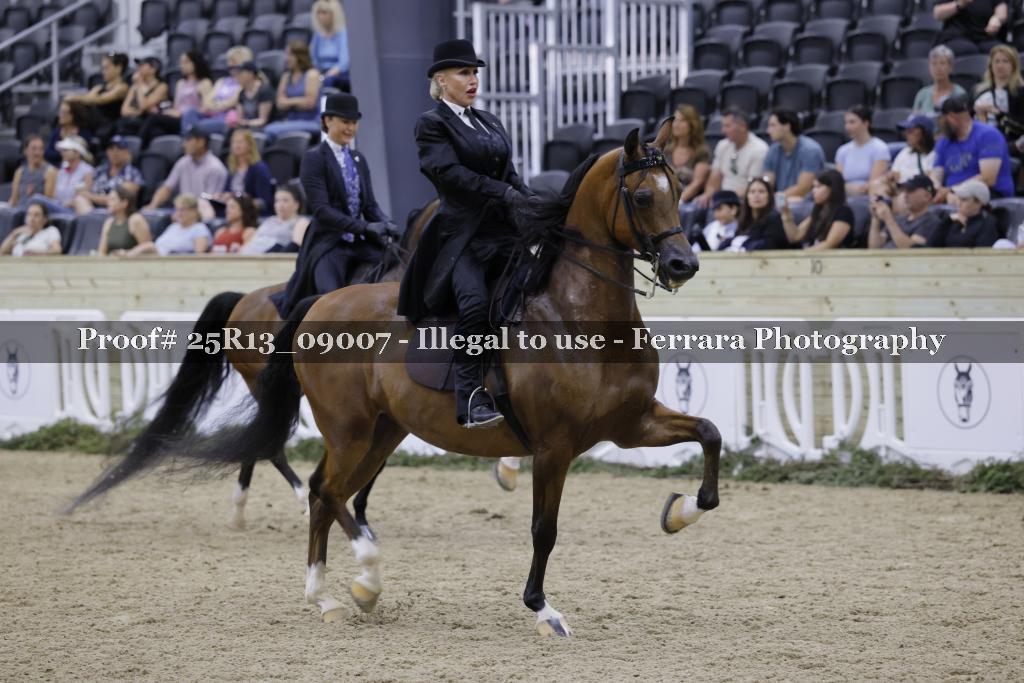 Proof 25R13_09007