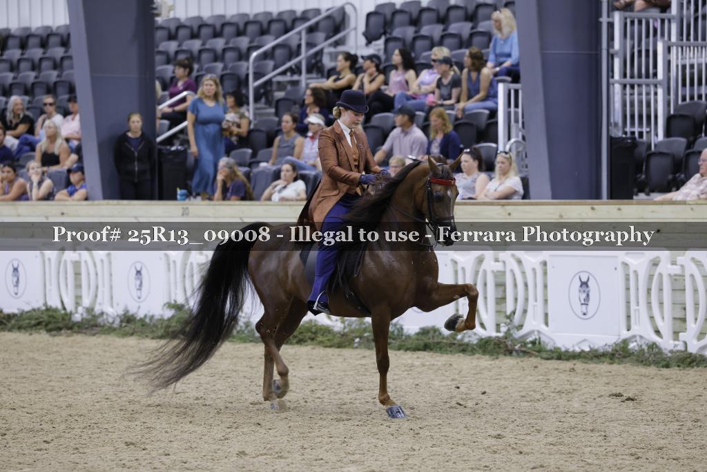 Proof 25R13_09008