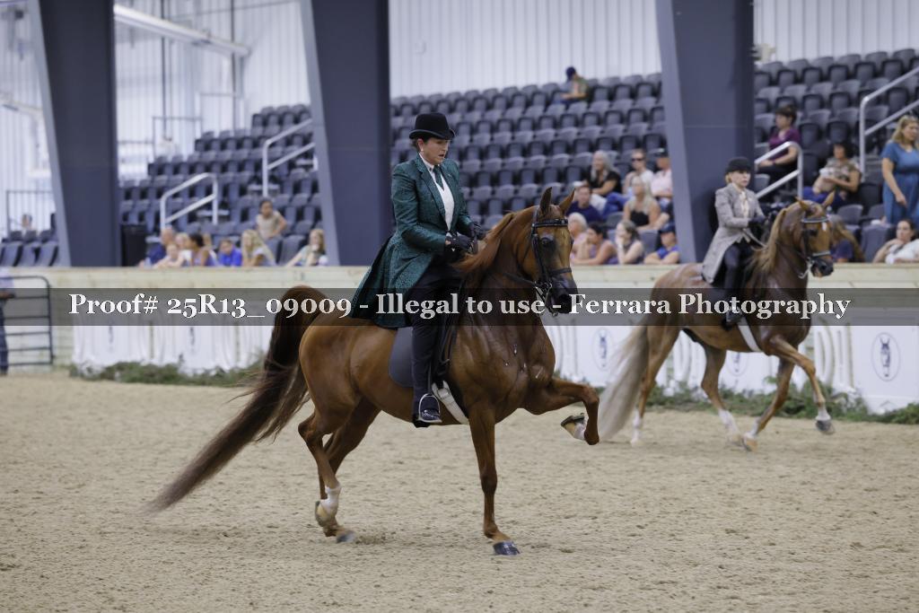 Proof 25R13_09009