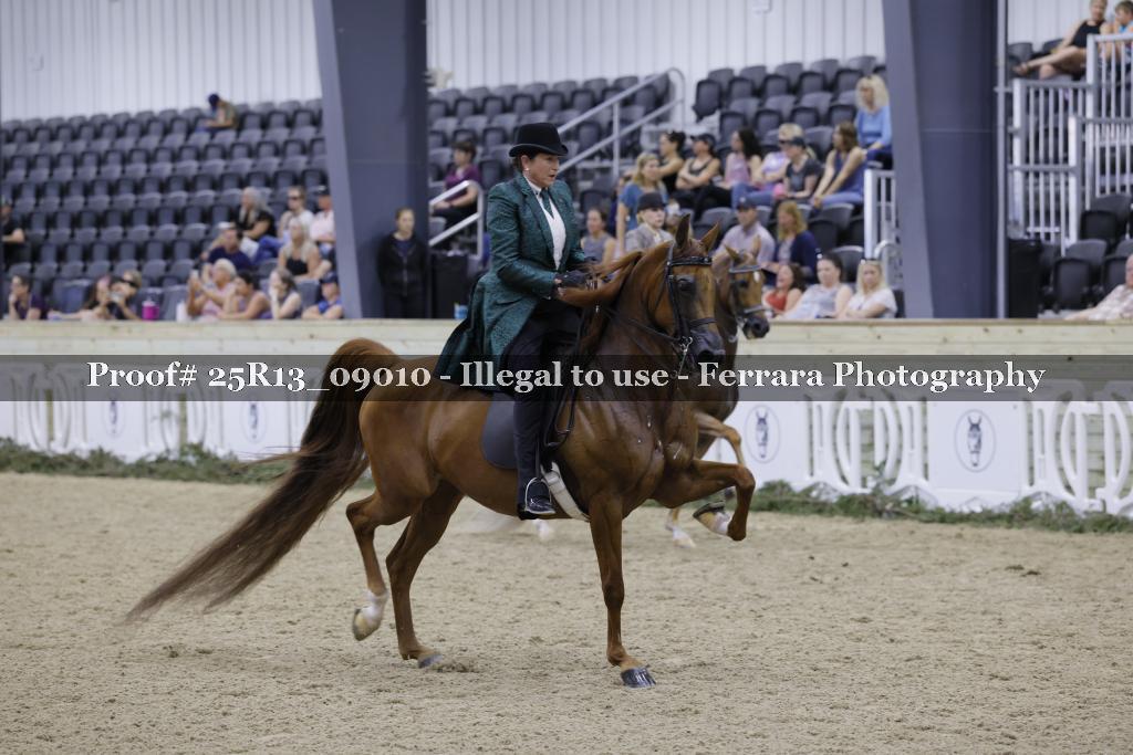 Proof 25R13_09010
