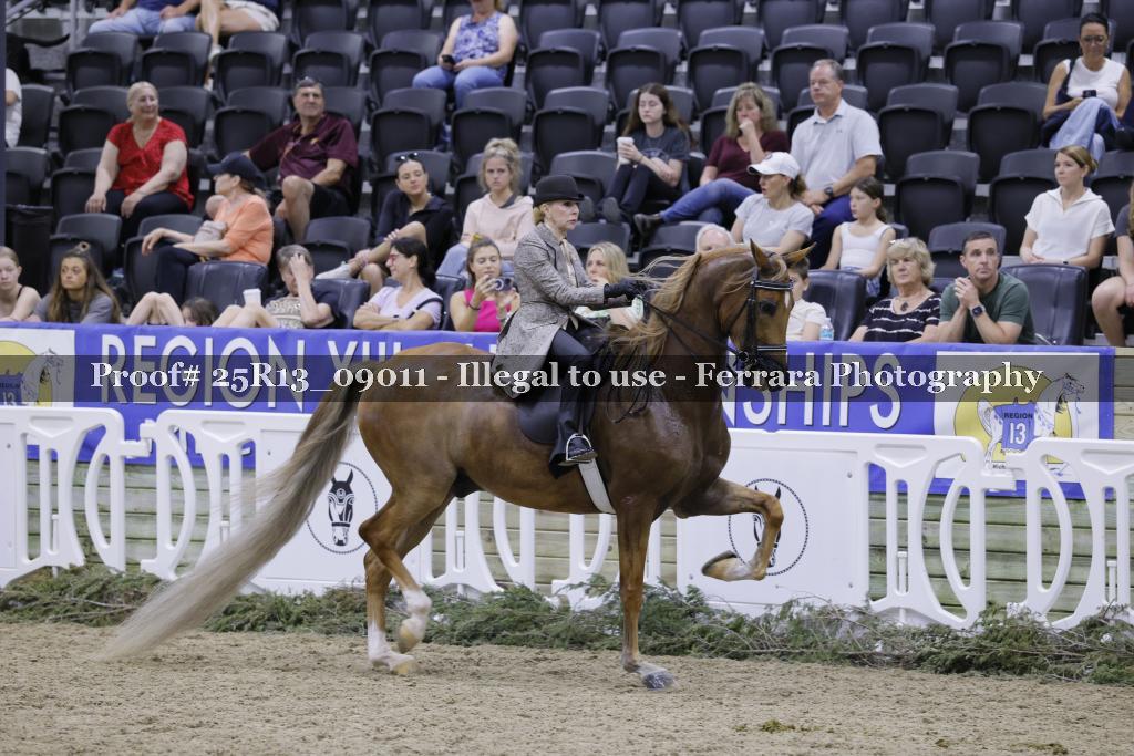 Proof 25R13_09011