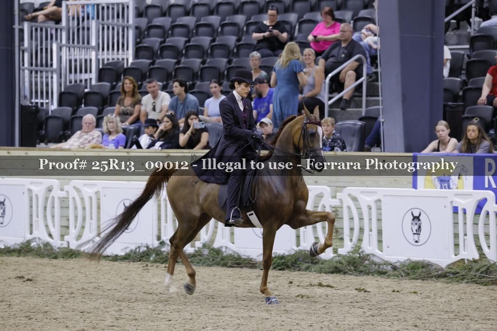 Proof 25R13_09012