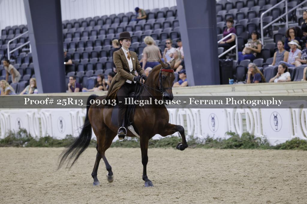 Proof 25R13_09013