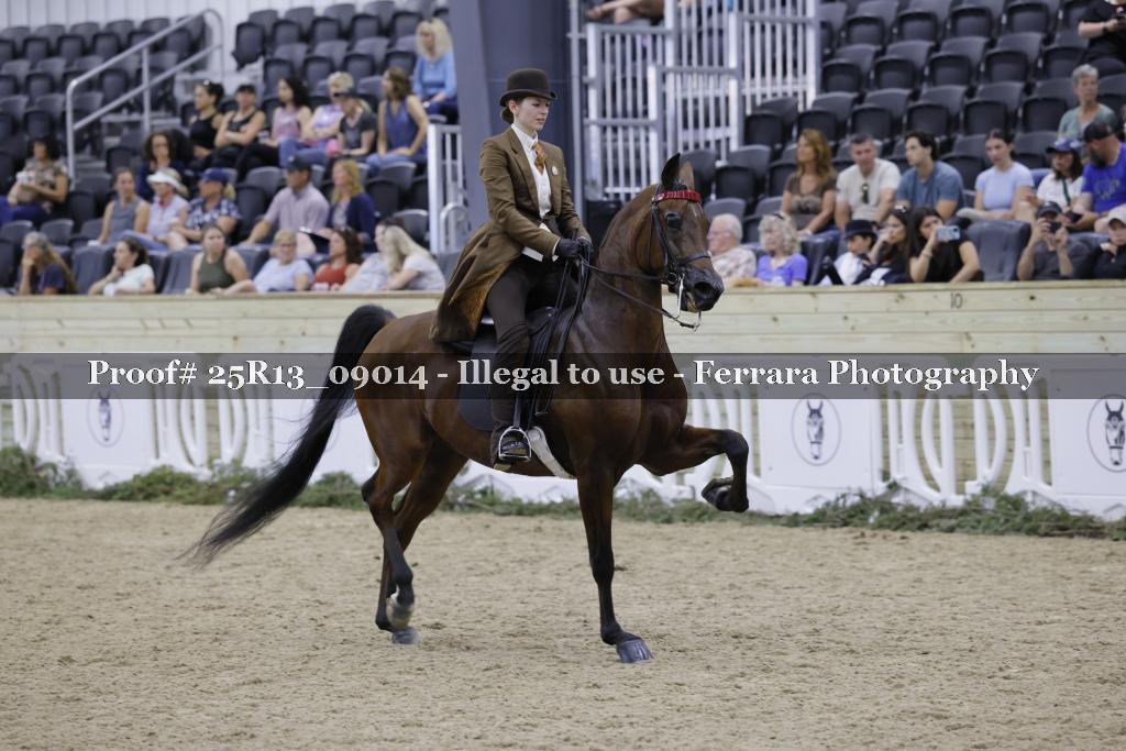 Proof 25R13_09014