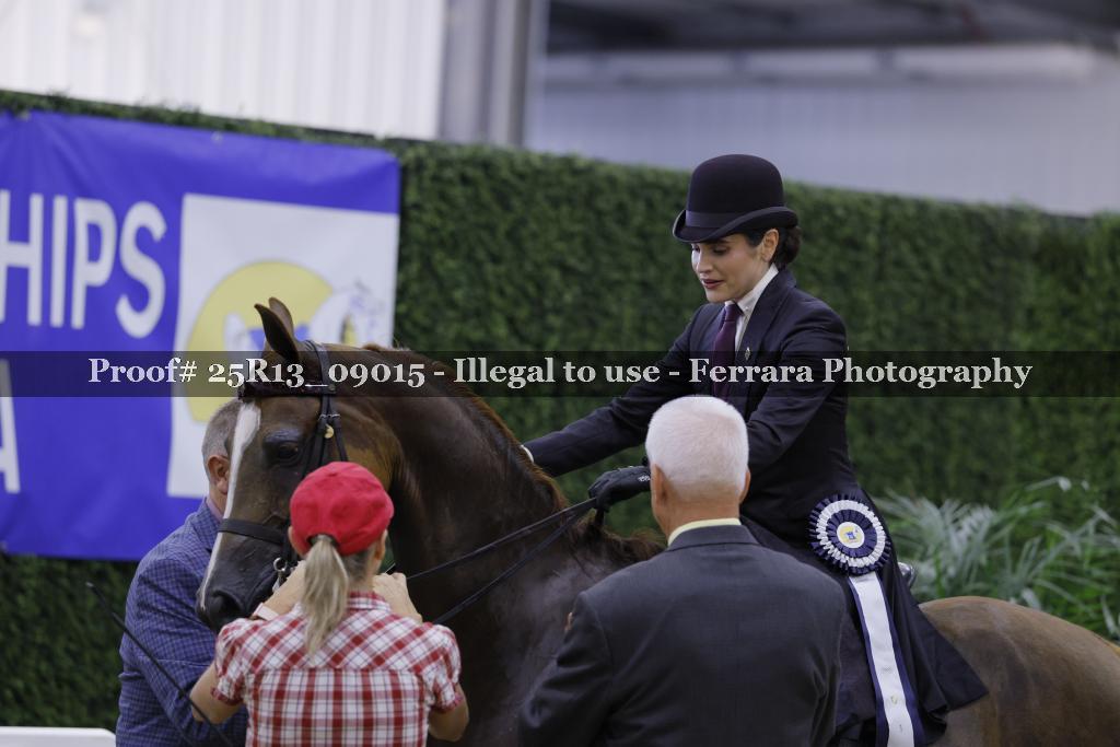 Proof 25R13_09015