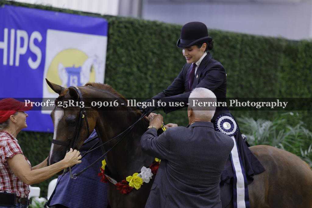 Proof 25R13_09016
