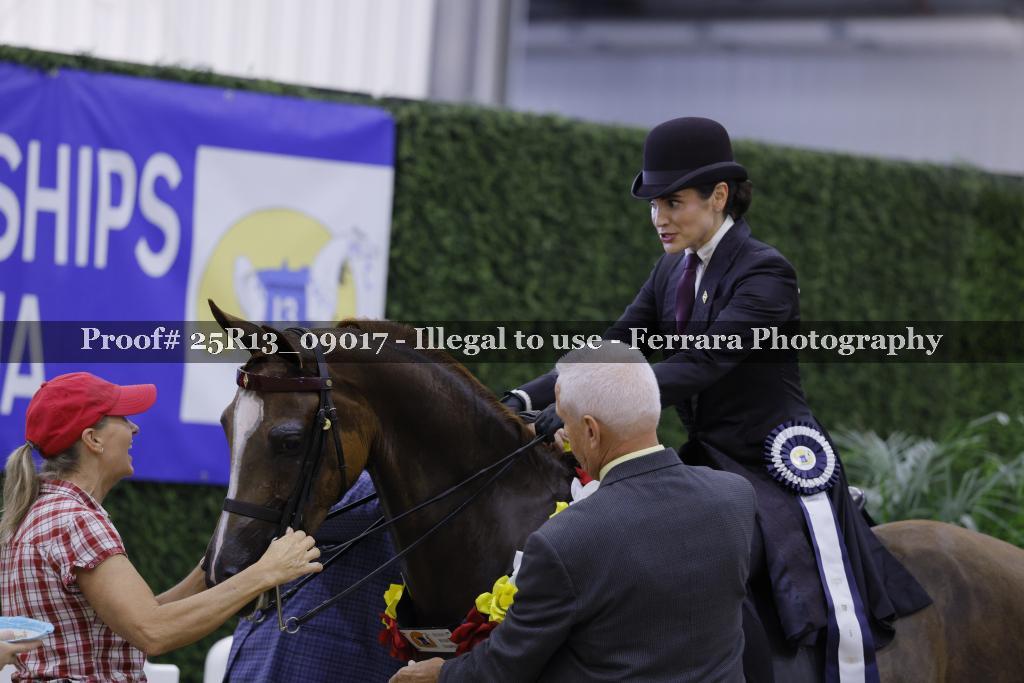Proof 25R13_09017